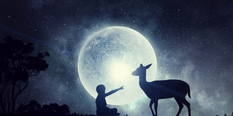 Horoskop indiański na tydzień 09.07 - 15.07.18